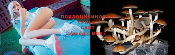 мяу мяу мука Верхний Тагил